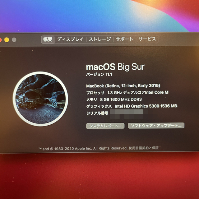 Apple(アップル)の美品 MacBook Retina 12inch Early 2015 US スマホ/家電/カメラのPC/タブレット(ノートPC)の商品写真