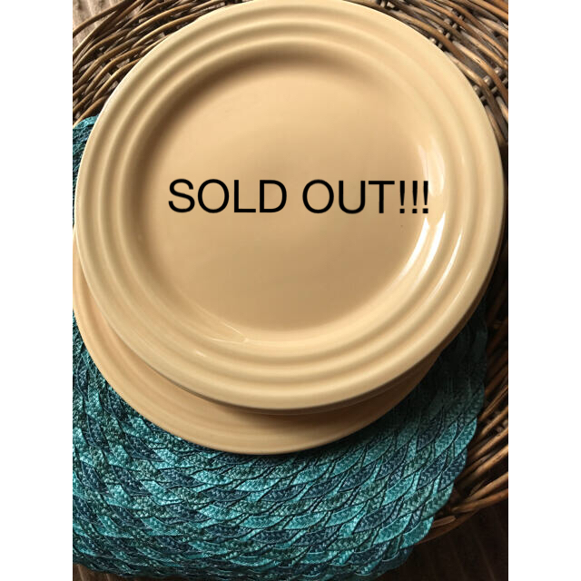 人気急上昇】 新品未使用☆レア‼︎Pier 1 Imports USA 大きめお皿4枚