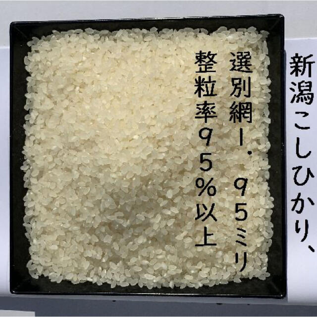 新米・令和３年産新潟コシヒカリ　白米5kg×2個★農家直送★色彩選別済19 2