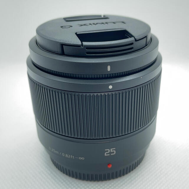 パナソニック ミラーレス一眼カメラ ルミックス GF10 DC-GF10W-K パナソニック ミラーレス一眼カメラ ルミックス GF10 DC-GF10W-K
