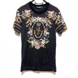 ドルチェアンドガッバーナ(DOLCE&GABBANA)のドルチェアンドガッバーナ 半袖Tシャツ 44(Tシャツ(半袖/袖なし))