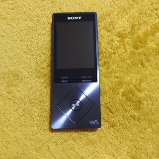 ソニー(SONY)のSONY WALKMAN NW-A26 32GB(ポータブルプレーヤー)
