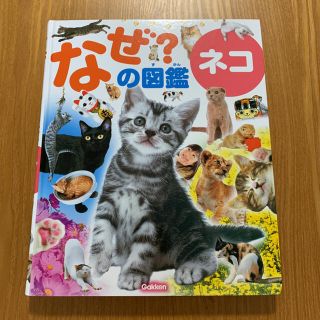 ガッケン(学研)の学研　なぜ?の図鑑 ネコ(絵本/児童書)