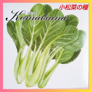 ★ 小松菜の種 ★ 1袋 周年栽培 種子 葉物野菜 ノベルティ(野菜)