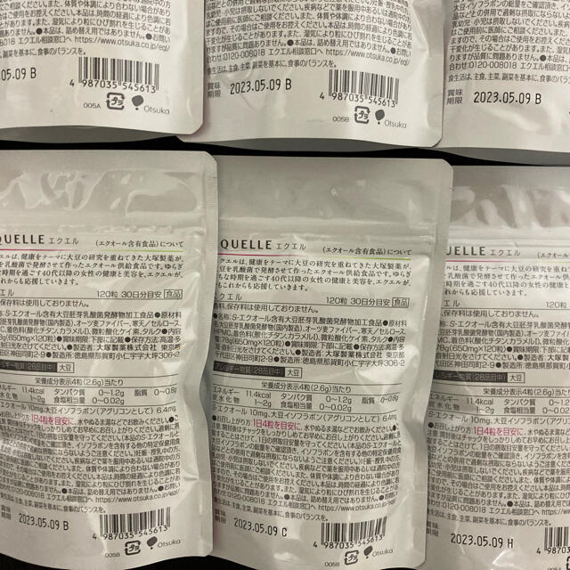 大塚製薬 エクエル パウチ 120粒30日分 ×6袋