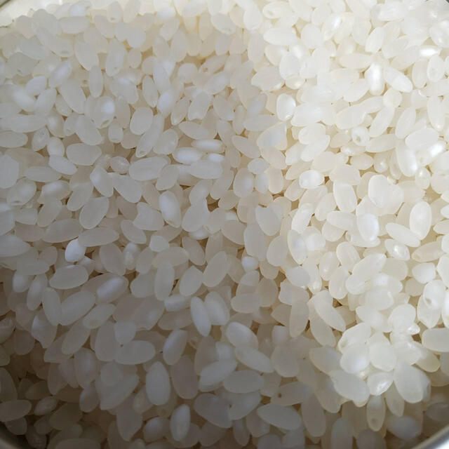 新米　北海道令和3年度産　最高品質一等米　ゆめぴりか　20キロ（10キロ×2）