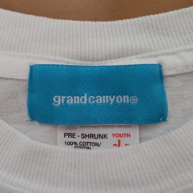 GDC(ジーディーシー)のgrandcanyonドラクマナイト限定ラメ入りTシャツ/レディースLサイズ レディースのトップス(Tシャツ(半袖/袖なし))の商品写真