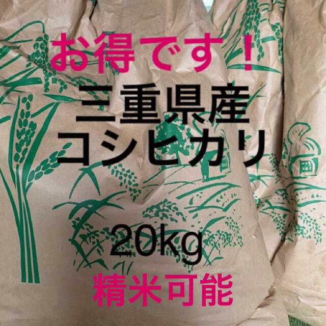 米/穀物　新米コシヒカリ20kg　精米出来ます