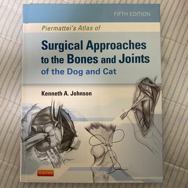 surgical approaches to the bone and join