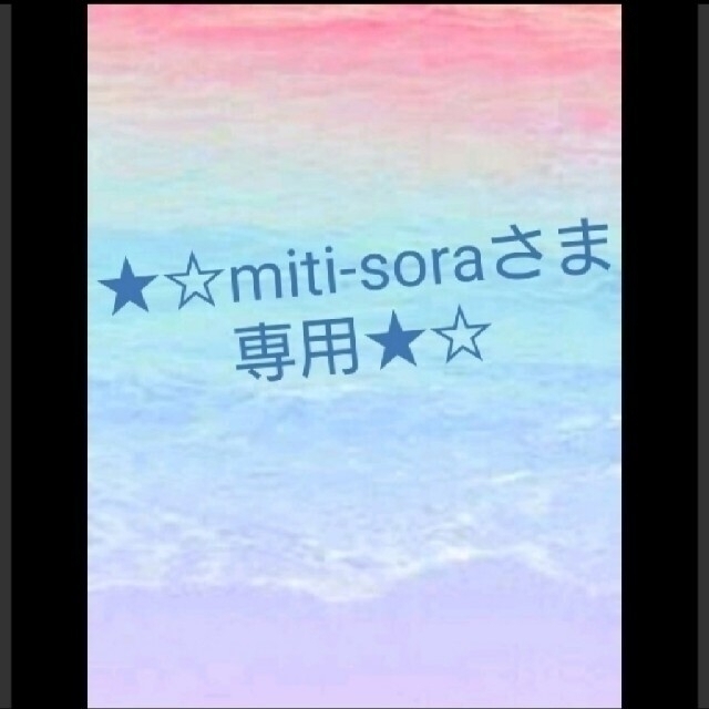 ★miti-soraさま専用★お弁当袋/ランチョンマット/コップ袋