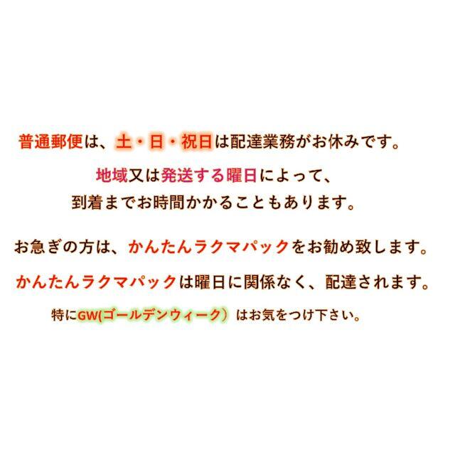 ウキ止めゴムストッパー シリンダ－型６０個　Mサイズ ちょい投げ サビキ釣り スポーツ/アウトドアのフィッシング(釣り糸/ライン)の商品写真