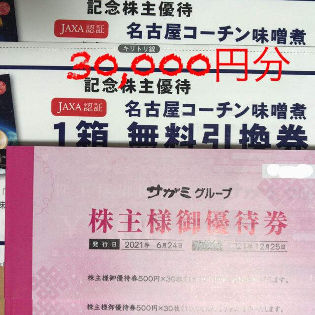 新販売センター サガミ 株主優待券 30，000円分 | www.takalamtech.com