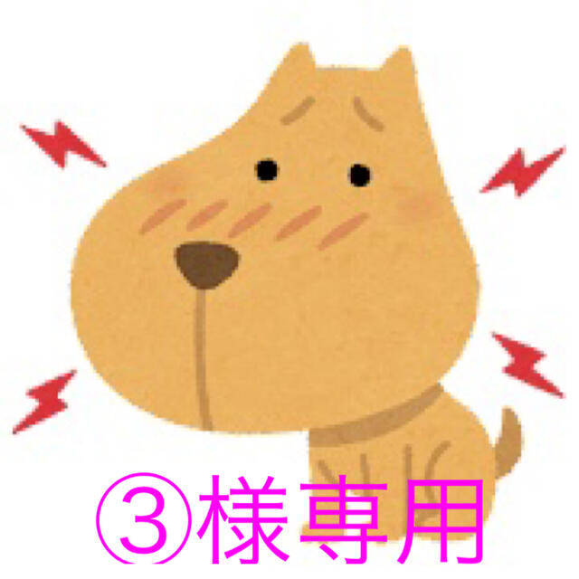 ③様専用ページ | フリマアプリ ラクマ