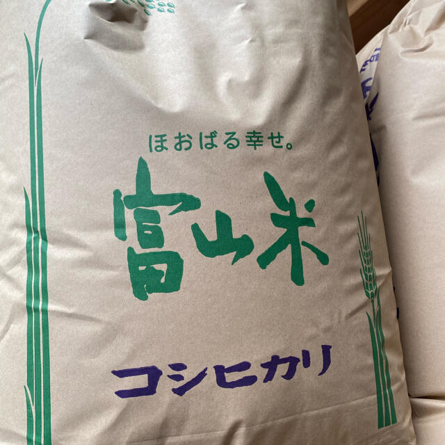 令和3年新米コシヒカリ20キロ玄米減農薬