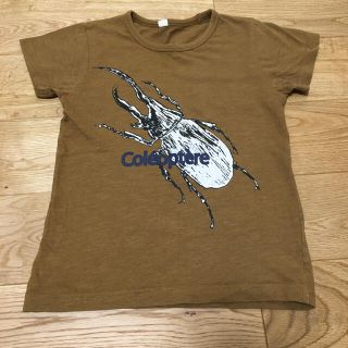 カブトムシ　Tシャツ(Tシャツ/カットソー)