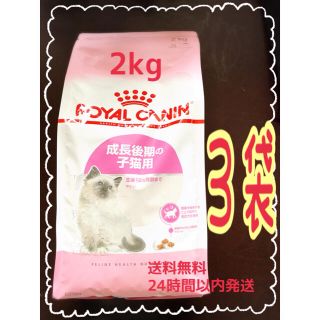 ロイヤルカナン(ROYAL CANIN)の【正規品】ロイヤルカナン  キトン(2kg*3コセット)【新品♡未開封】(猫)