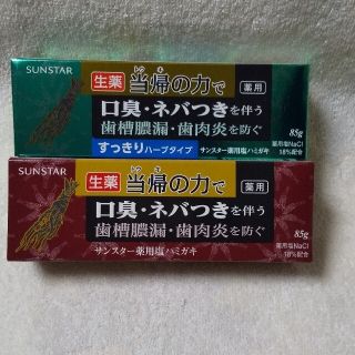 サンスター(SUNSTAR)のサンスター薬用塩ハミガキ 2本(歯磨き粉)