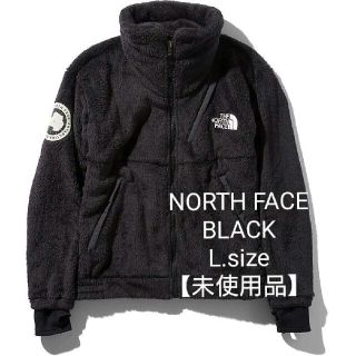 ザノースフェイス(THE NORTH FACE)のTHE NORTH FACE  ノースフェイス アンタークティカ ジャケット　L(ナイロンジャケット)