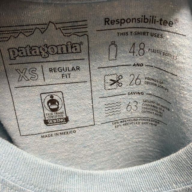 patagonia(パタゴニア)のPatagonia  パタゴニア Tシャツ 水色 メンズのトップス(Tシャツ/カットソー(半袖/袖なし))の商品写真