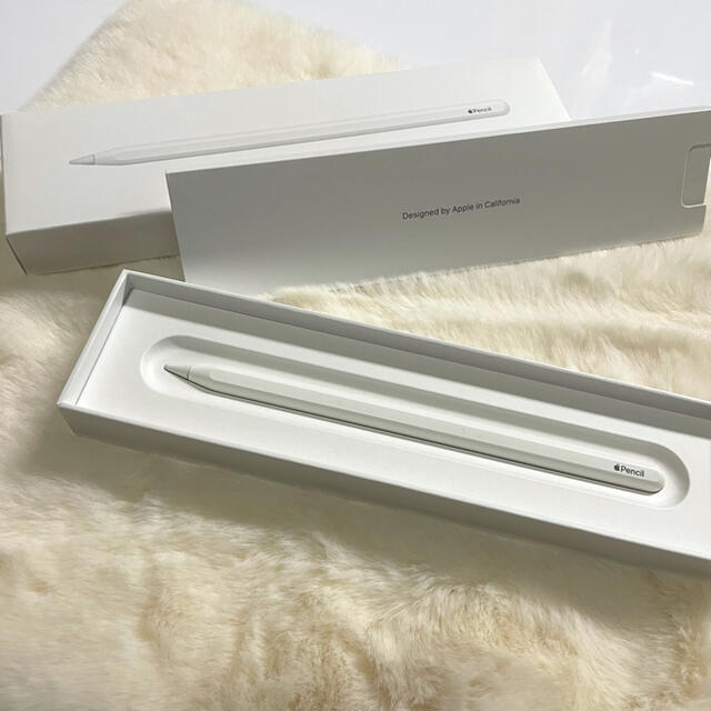 Apple(アップル)のApple Japan(同) iPadPro Apple Pencil 第2世代 スマホ/家電/カメラのPC/タブレット(その他)の商品写真