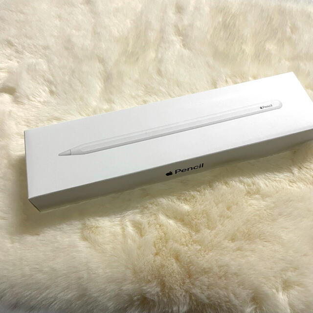 Apple(アップル)のApple Japan(同) iPadPro Apple Pencil 第2世代 スマホ/家電/カメラのPC/タブレット(その他)の商品写真