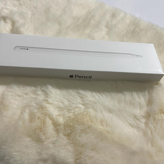 Apple(アップル)のApple Japan(同) iPadPro Apple Pencil 第2世代 スマホ/家電/カメラのPC/タブレット(その他)の商品写真