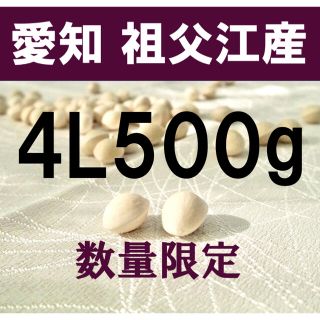 生産者直送 ぎんなん 愛知県 祖父江産 銀杏　4L 500g(野菜)