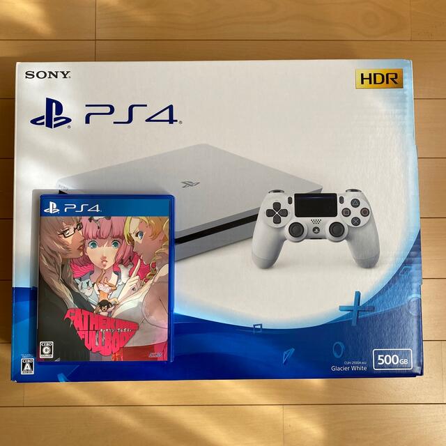 エンタメ/ホビーPlayStation4 本体 (ゲームソフト付き)