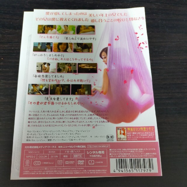 DVD▼個人授業【字幕】▽レンタル落ち