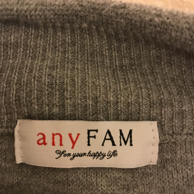 anyFAM(エニィファム)の【洗える】ボトルネック チュニック*ニット*anysis レディースのトップス(ニット/セーター)の商品写真