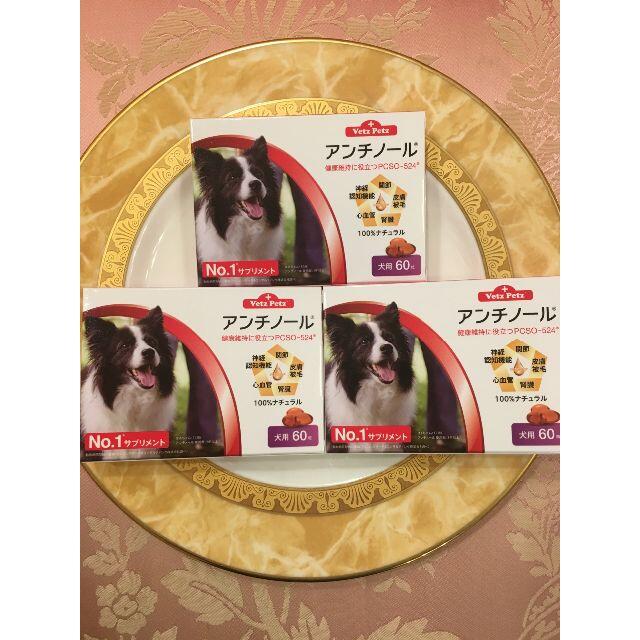 アンチノール　３箱　犬用　サプリメント　もっとお買い得　限定この１セットのみです