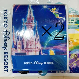 ディズニー(Disney)のディズニー　毛布　2個セット(毛布)