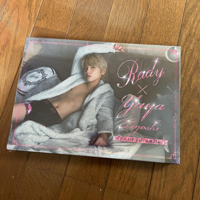 Rady(レディー)の〈新品〉スペシャルBOOK エンタメ/ホビーのコレクション(ノベルティグッズ)の商品写真