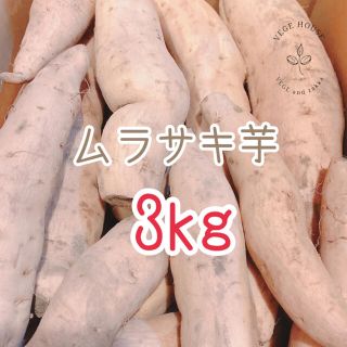 ムラサキ芋 3kg(野菜)