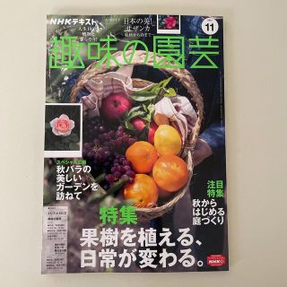 NHK 趣味の園芸 2021年 11月号(専門誌)