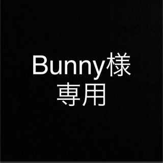 バービー(Barbie)のBunny様  オーダーページ(人形)