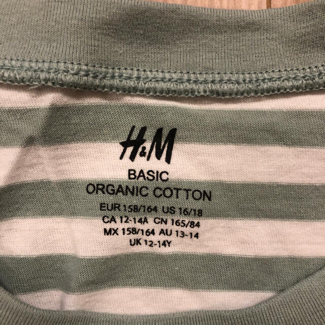 H&M(エイチアンドエム)のH&M ボーダー 長そでシャツ キッズ/ベビー/マタニティのキッズ服女の子用(90cm~)(Tシャツ/カットソー)の商品写真