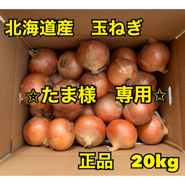 北海道産　玉ねぎ　正品　M〜L　混み玉　20kg 食品/飲料/酒の食品(野菜)の商品写真