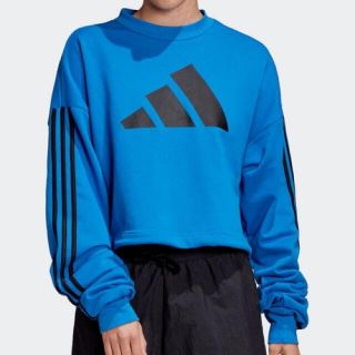 アディダス(adidas)のアディダス　スウェット(トレーナー/スウェット)