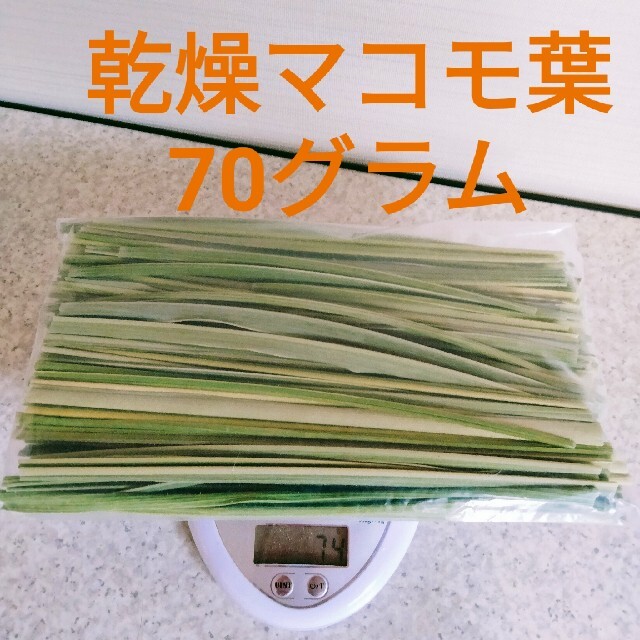 マコモ 真菰 乾燥葉（無農薬、無施肥） 食品/飲料/酒の食品(野菜)の商品写真