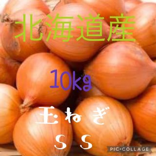 北海道産玉ねぎss 10kg(野菜)