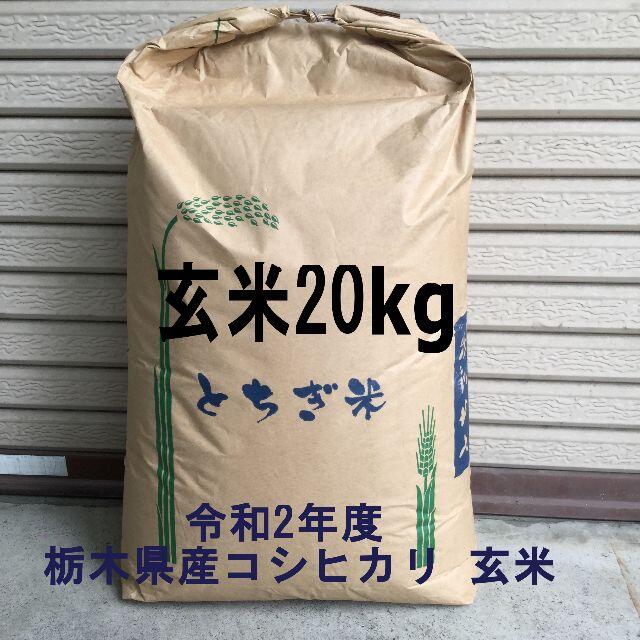 売り切り！令和2年産　栃木県産コシヒカリ　玄米20kg(精米可)