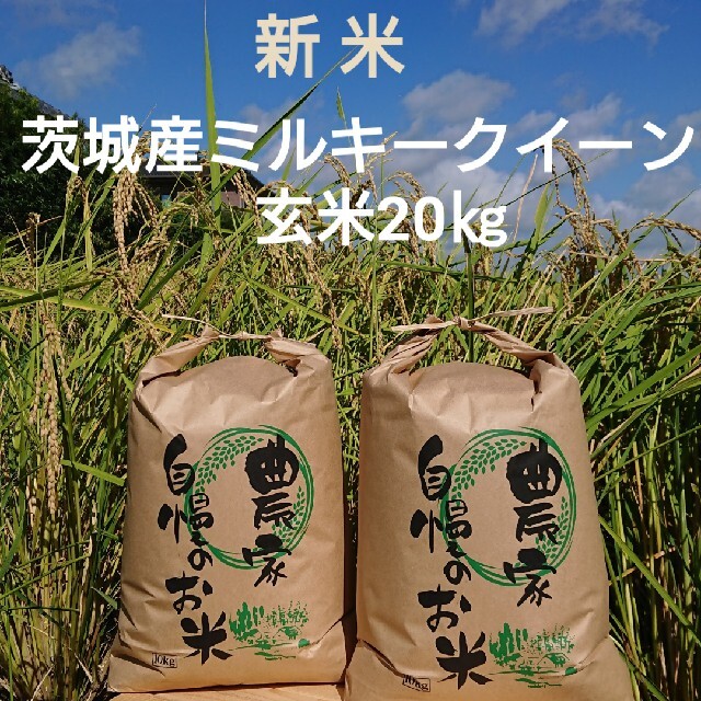 食品/飲料/酒茨城令和3年産新米ミルキークイーン玄米20㎏