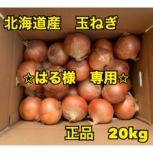 33%割引ホワイト系【税込】 たまねぎさま専用ページ その他 ハンドメイドホワイト系-ROAKBREWING.COM)