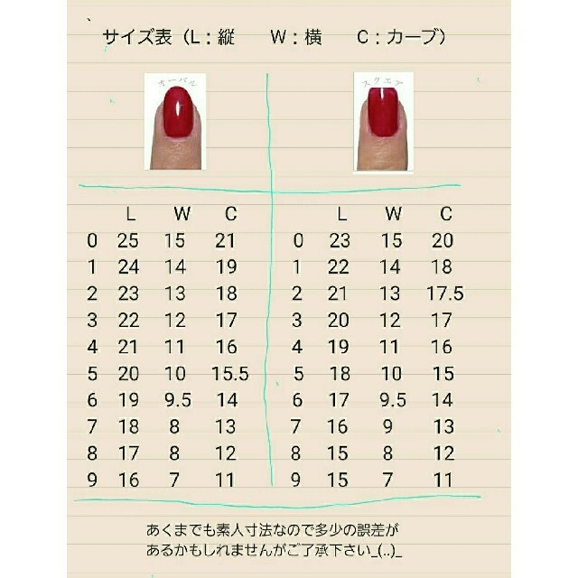 ネイルチップ《No.188》 - nayaabhaandi.com