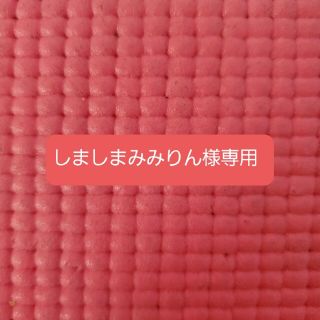 しましまみみりん様専用(その他)