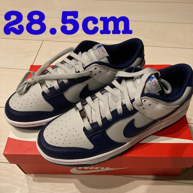 NIKE DUNK LOW x NBA NETS  28.5cm