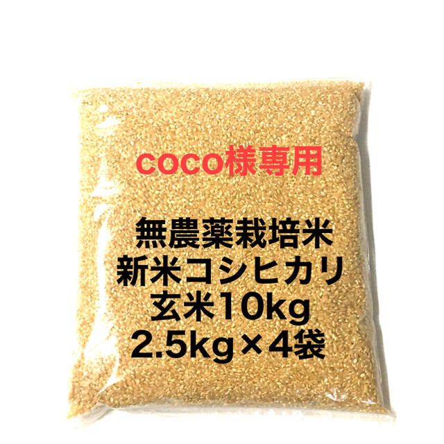リン様専用 新米農薬無し純こしひかり30㎏ 玄米段ボール files