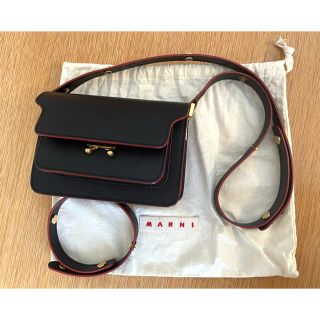 マルニ(Marni)のMARNI ミニTrunkバッグ(ショルダーバッグ)