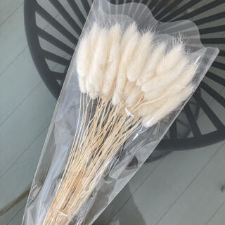 ラグラス ❁ 白 1袋全量 ドライフラワー 花材 花材詰め合わせ ハンドメイド(ドライフラワー)
